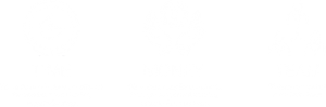 time_money_team
